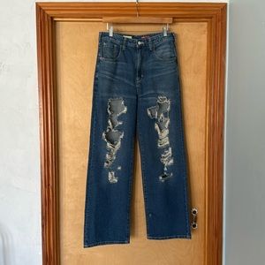 Pilcro Denim